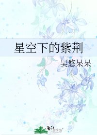 星空下的紫荊