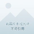 陛下,贱笑了